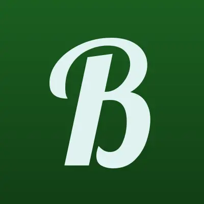 BaltMaximus, сеть магазинов техники, лого-визитка